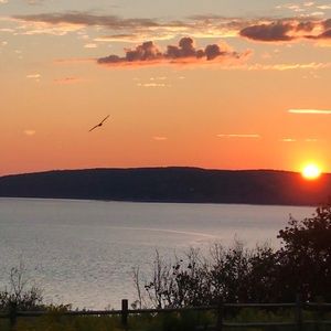 Meet your Posher, Baylee